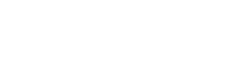 ONTOKERNEL 本核智能